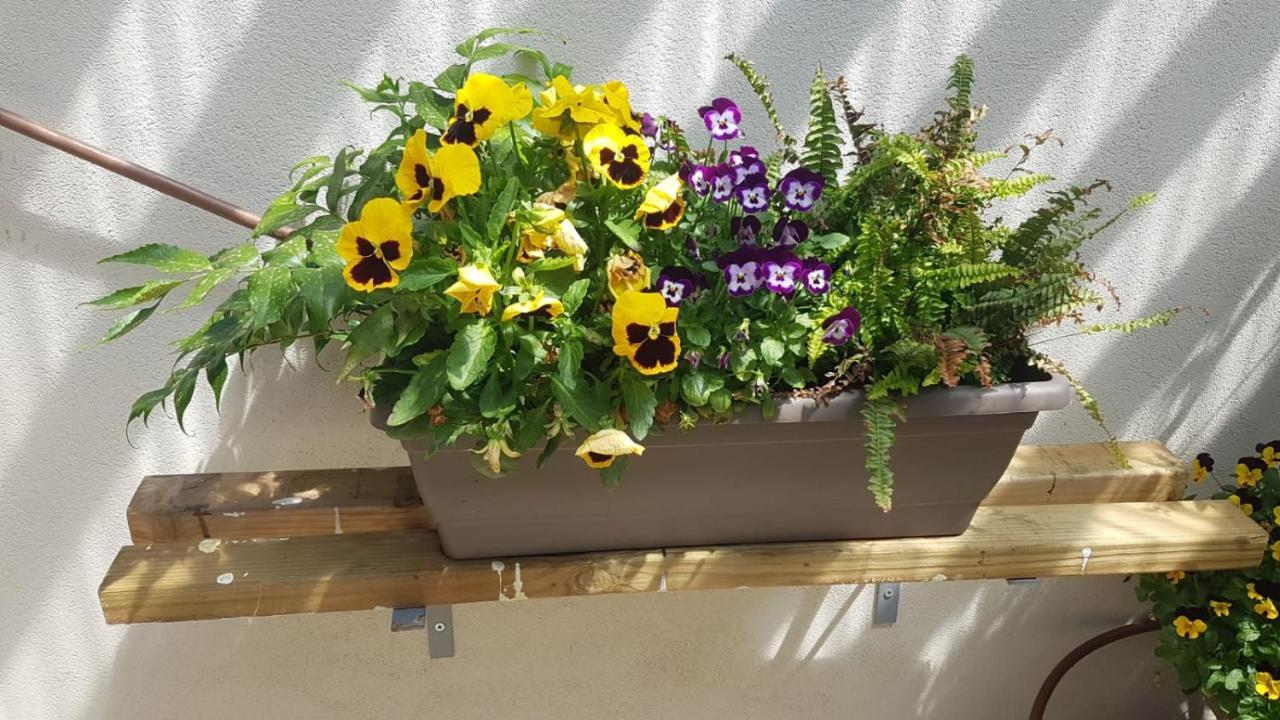 Apartment רומנטי ואיכותי בפרדס חנה La